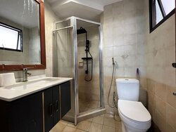 The Mayfair (D22), Condominium #456819931